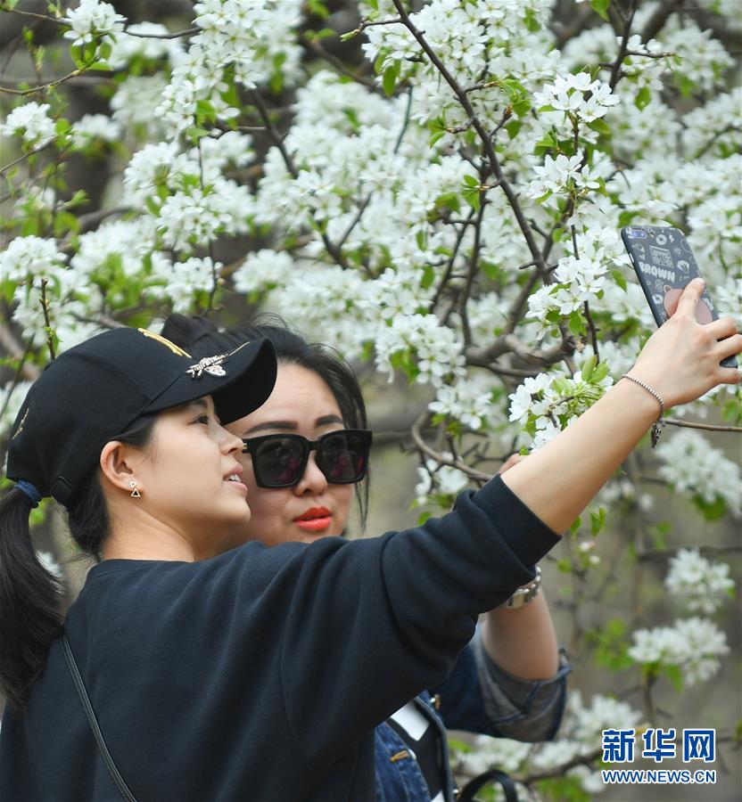凡花直播
