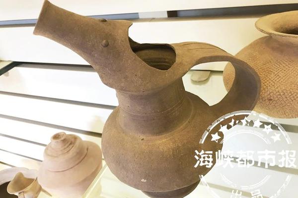 简易保护应用