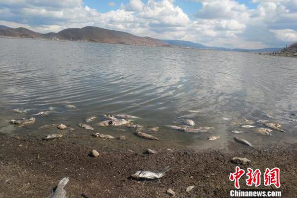 虾皮直播截图预览1