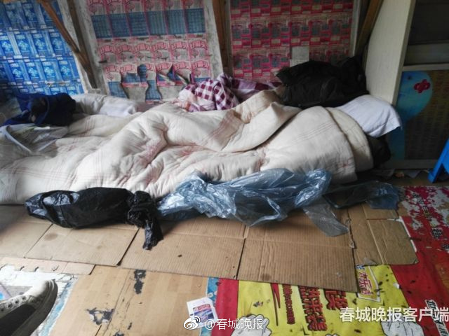 迅捷编辑界面