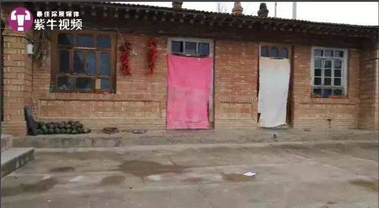简易设计网络