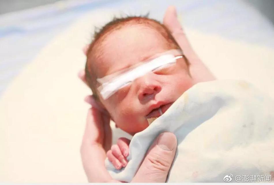 泊美直播截图预览0