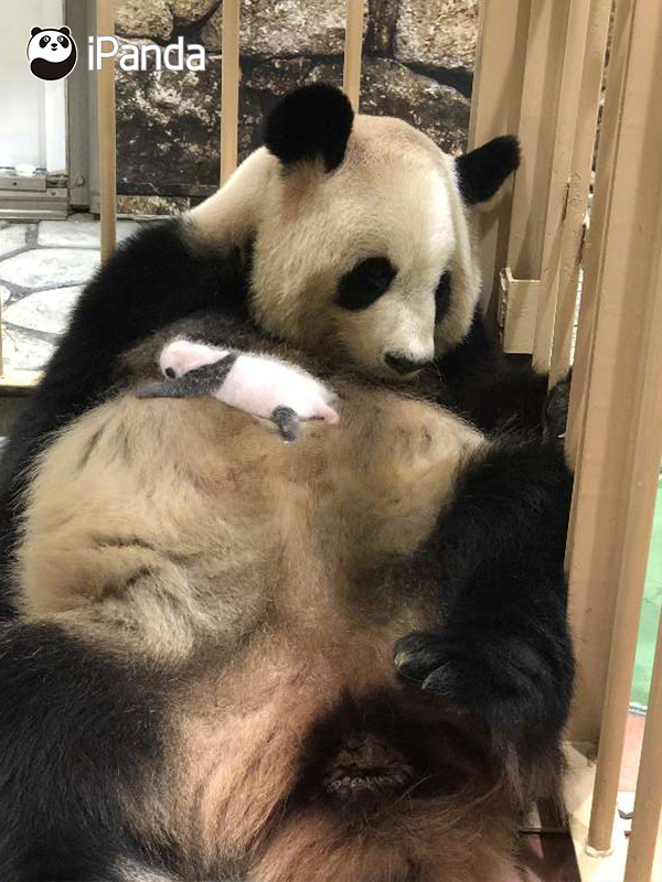 简易设计界面
