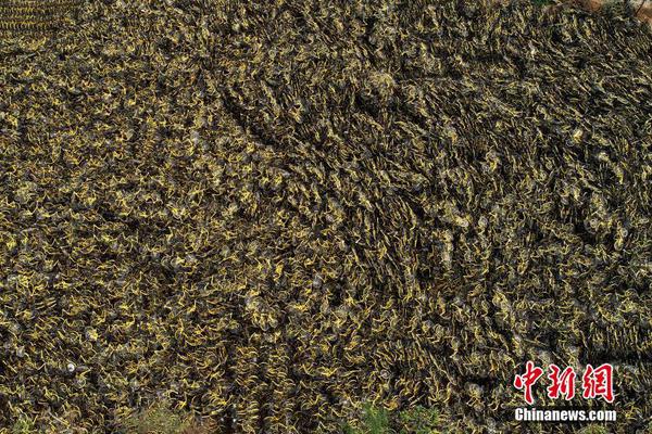 夸梅-布朗：别再说詹姆斯GOAT了 我被乔丹打过但我不能说谎-