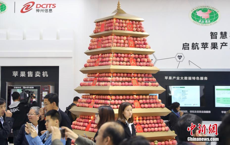 彩宝直播