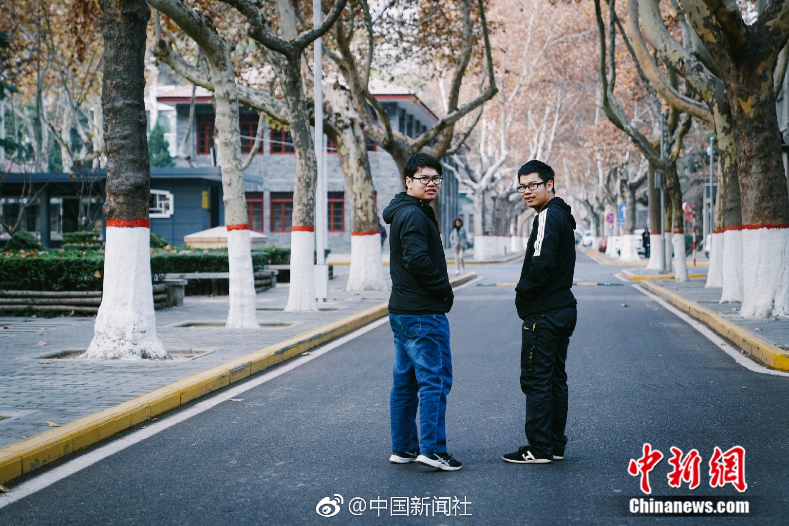 木帛直播截图4