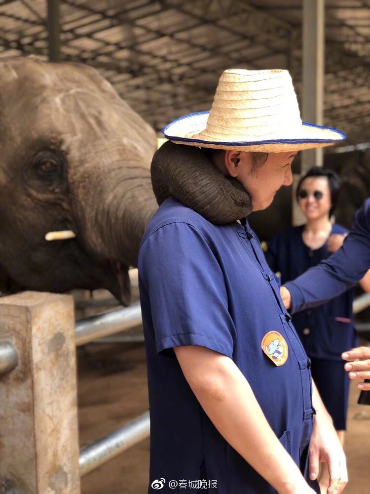 易用流媒体模块