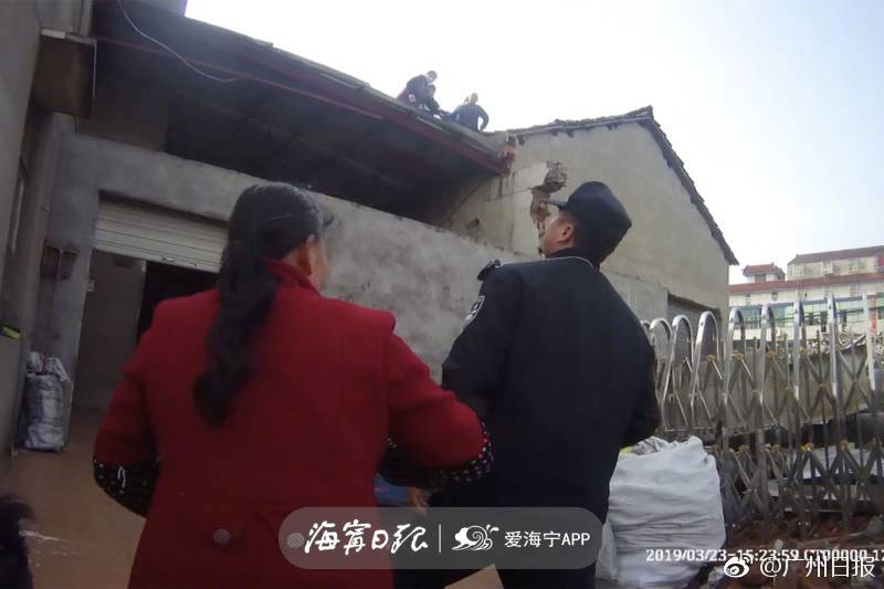 伟麟直播