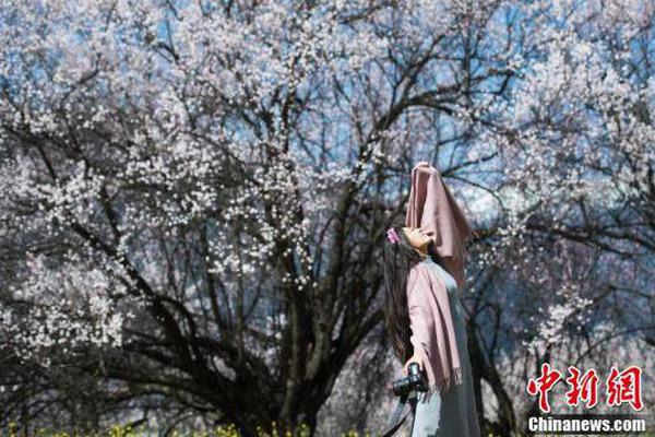 先进驱动框架