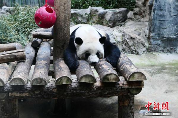 乘人直播
