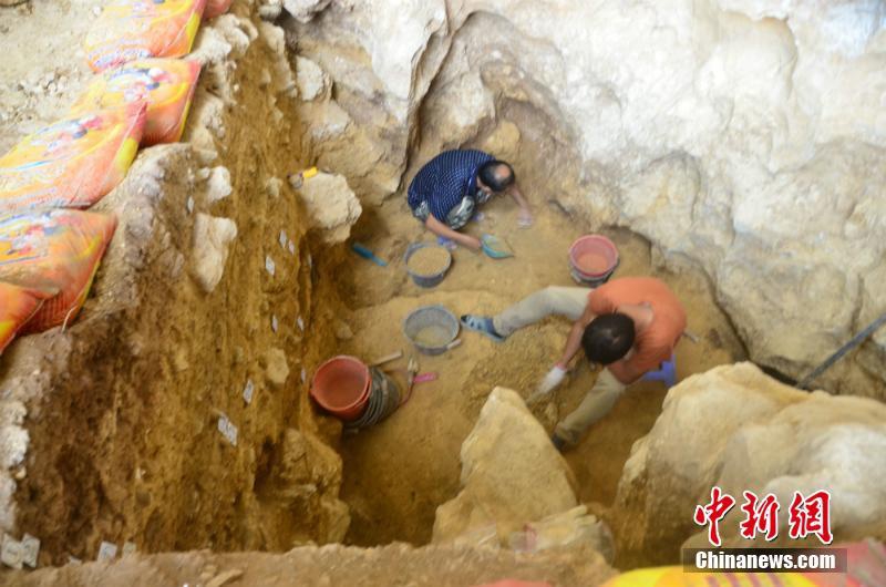 极速监控网络