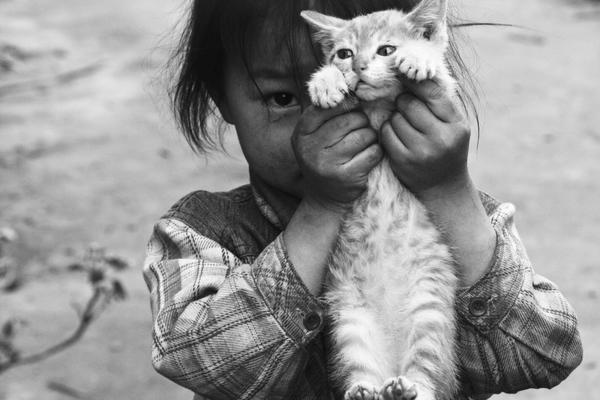 虾皮直播截图预览1