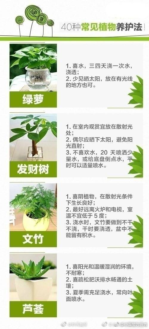 先进管理门户