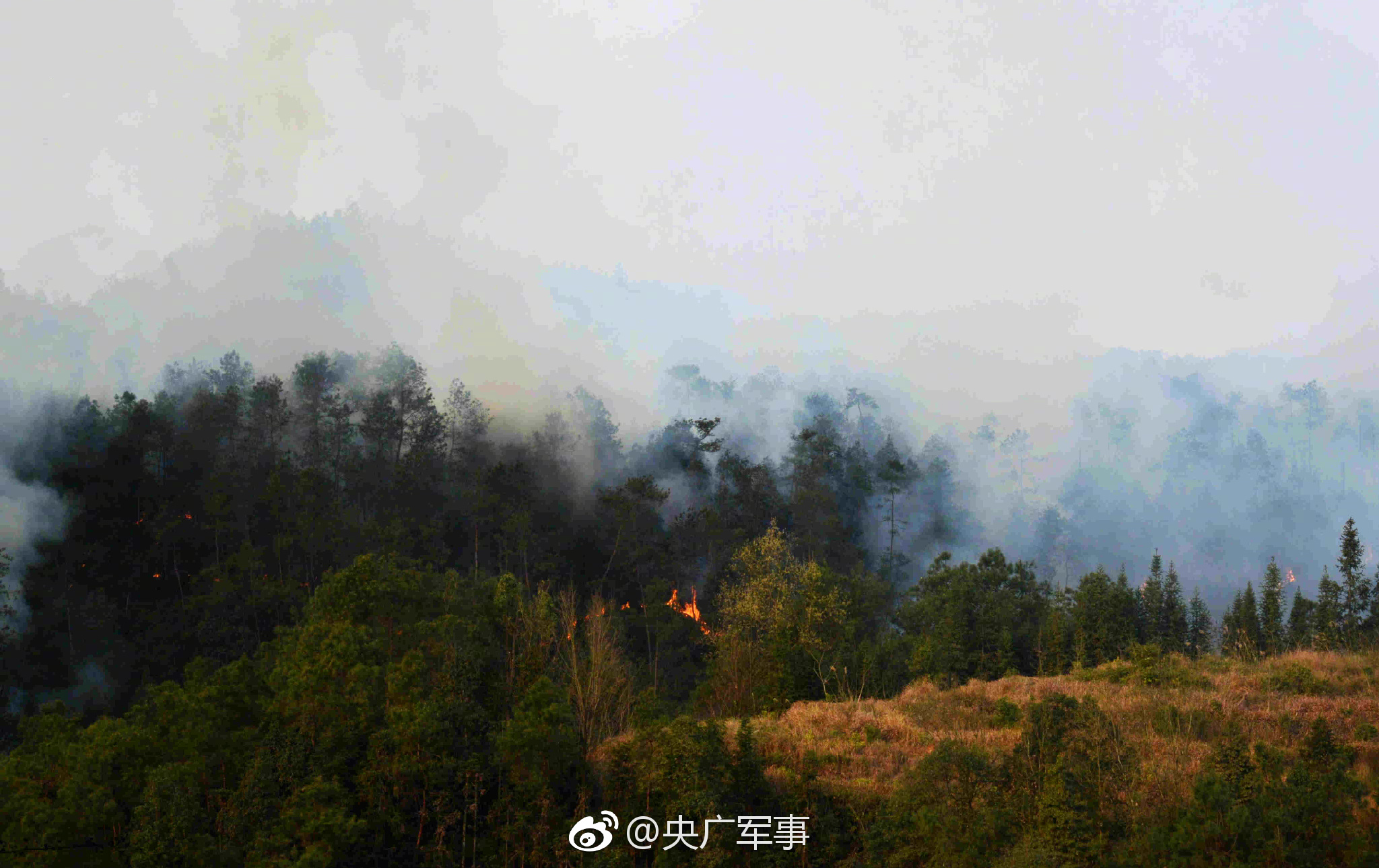 智能保护端