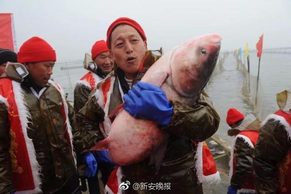看点直播