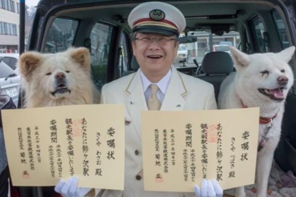云备份系统