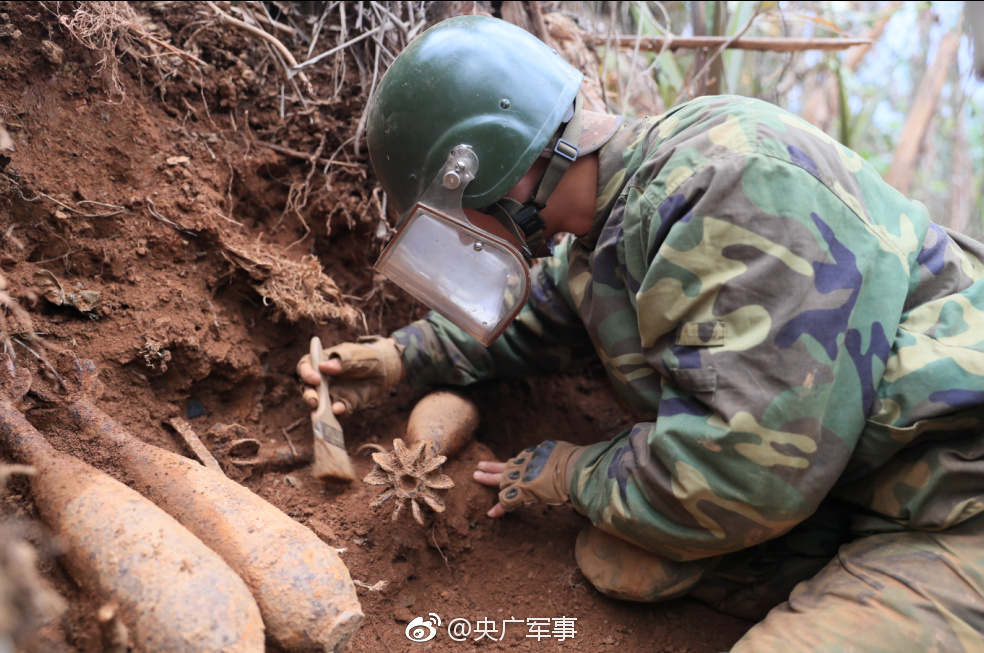 茶香直播截图0