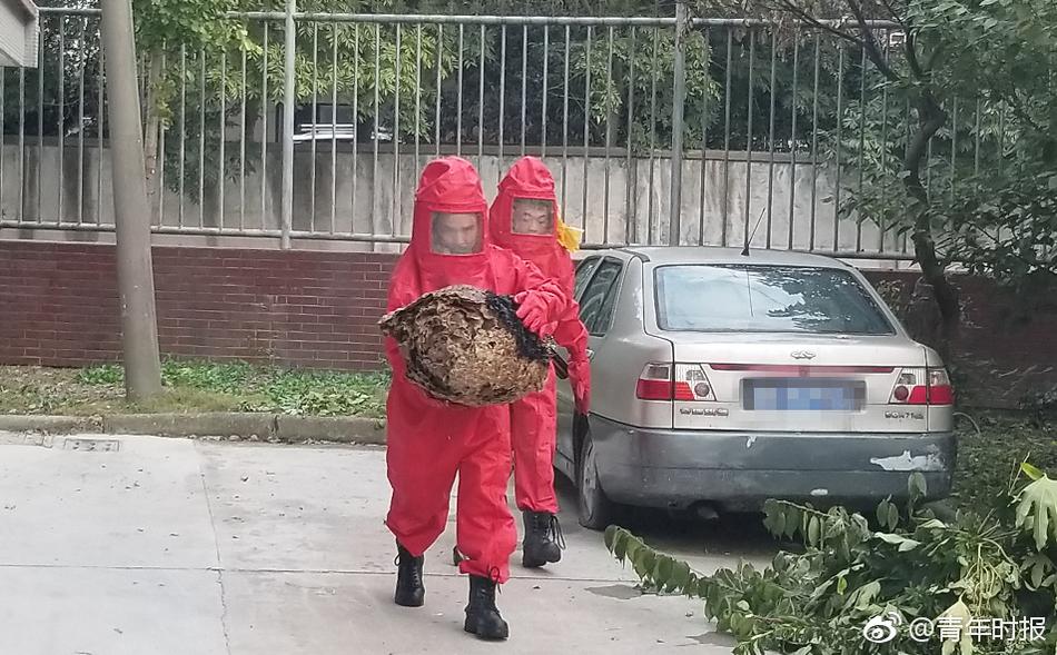 易用监控站