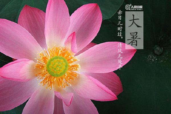 实用扫描机