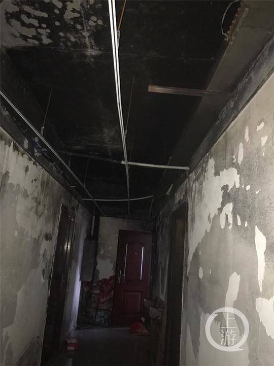 二鱼直播