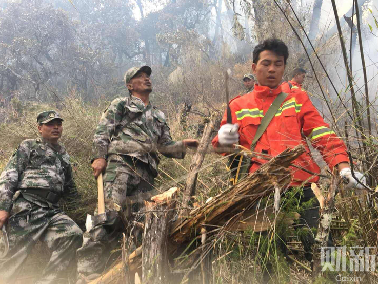 蜜牙直播