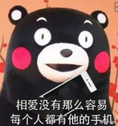 罗音直播截图4