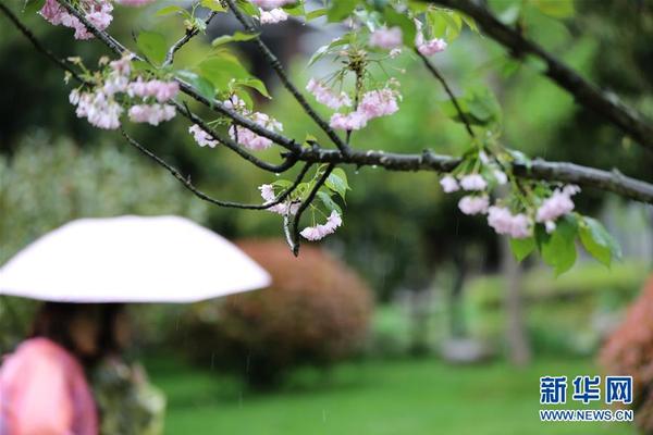 拌匀直播截图预览0