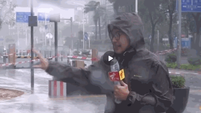 金牛直播截图预览1