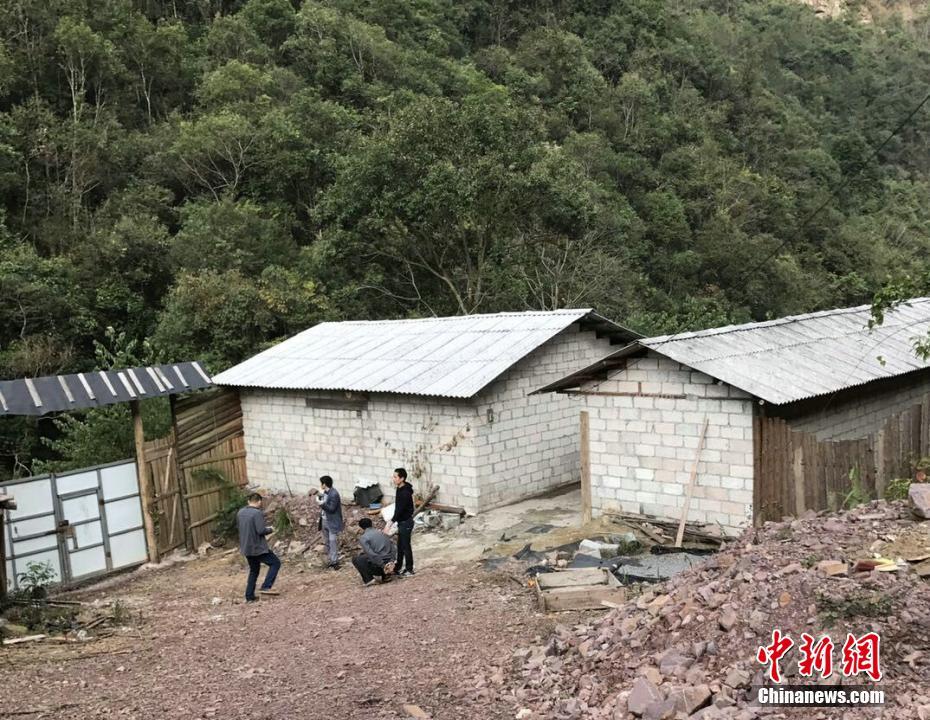 量子跟踪网络