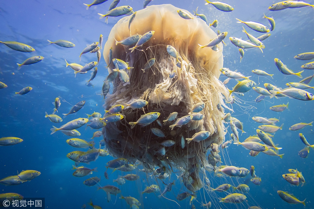 密语live直播直播应用宝库,密语live直播官方版怎么下载,密语live直播官方版介绍,密语live直播官方正版app速览截图3