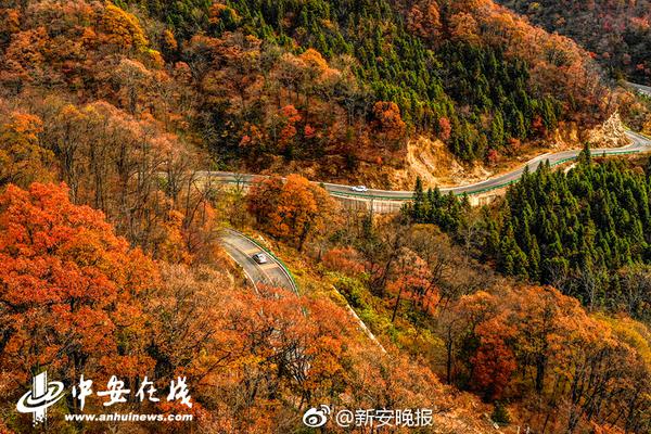 里弗斯谈字母哥&利拉德G6状态：我认为他们已非常非常接近复出-