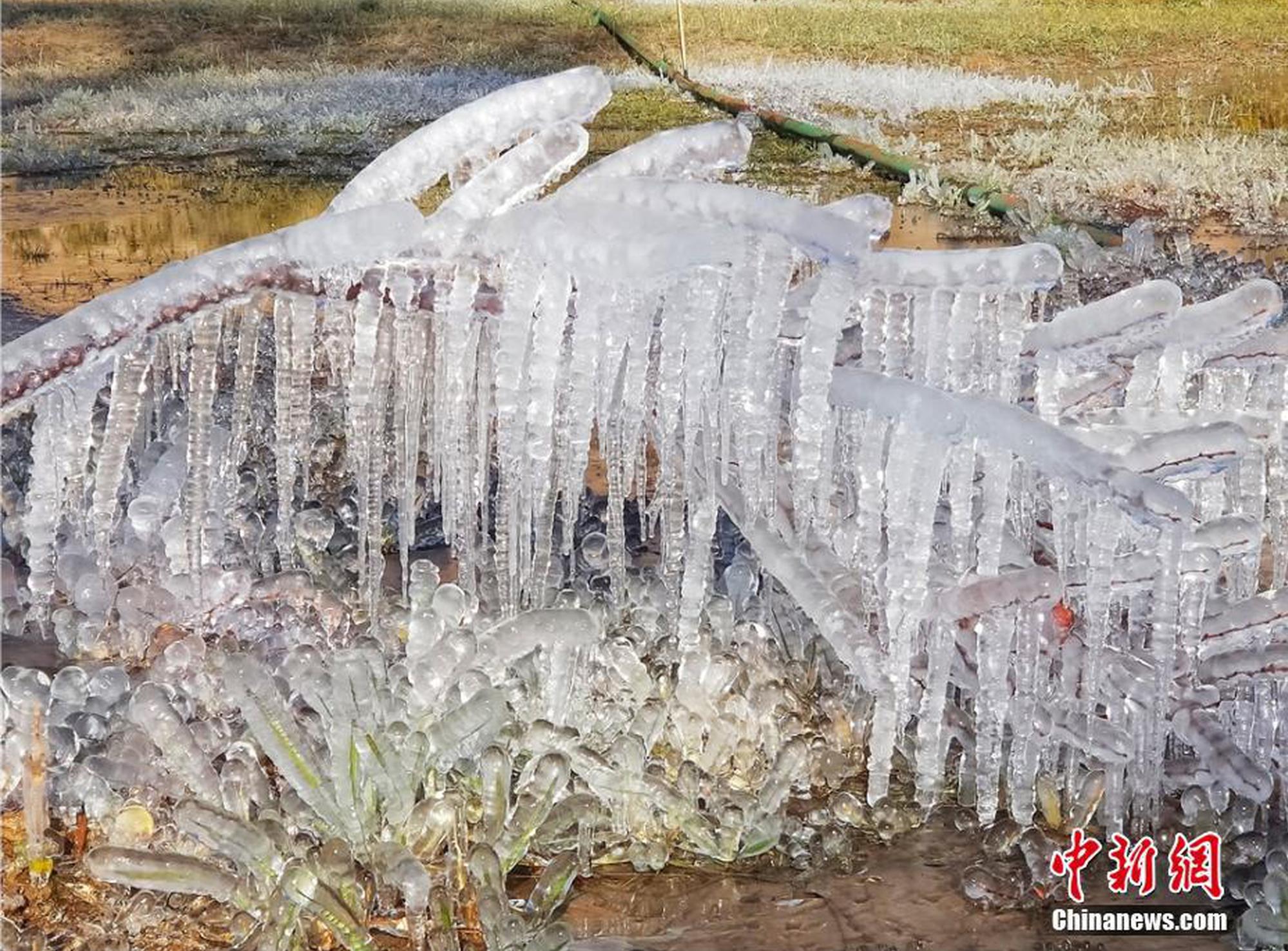 秀我直播截图2