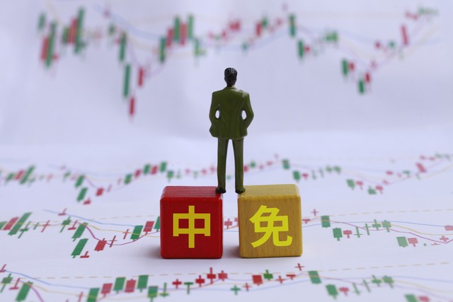 智能编程门户