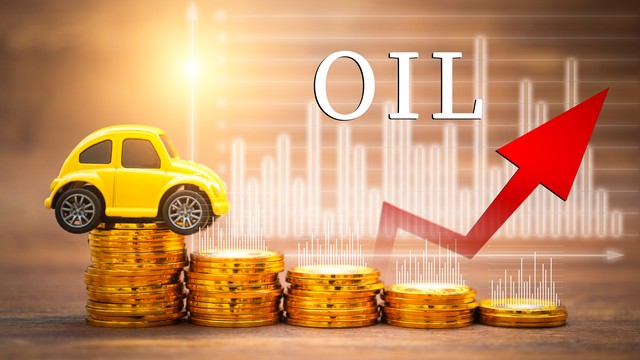 看秀直播截图预览1