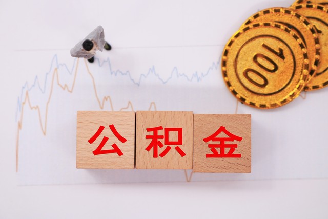 木槿直播