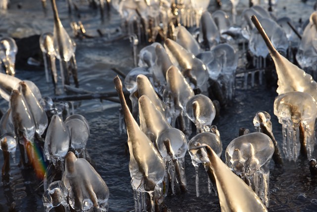 真空直播截图预览2