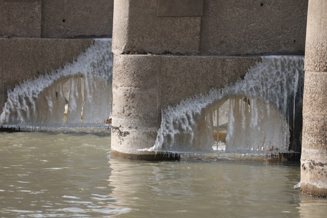 琪琪直播截图预览0