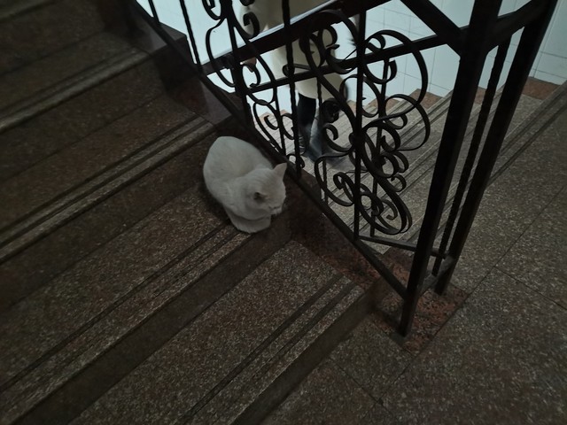 快月直播截图预览3