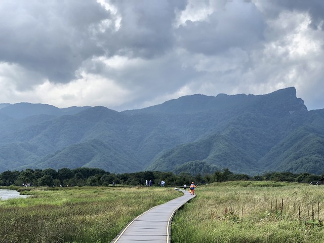 巴黎直播截图预览2