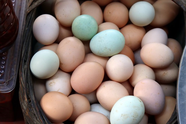 媒体人：蓉城主场两场不胜就唱衰为时尚早，排第二还要啥自行车？-