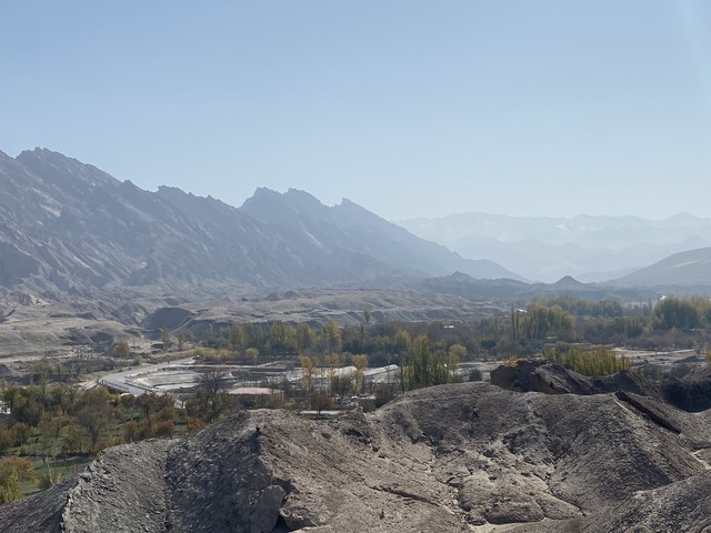 豆趣直播截图预览4