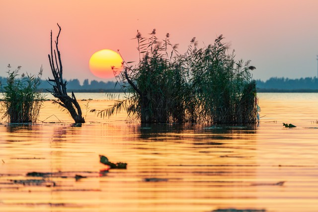 出战70场常规赛生涯新高！锡安：这绝对是朝正确方向迈出的一步-