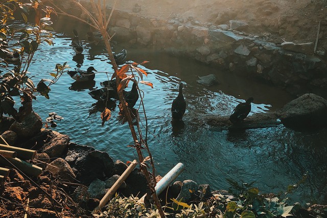 辣辣直播截图预览3