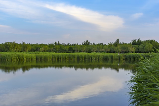 撸吧直播截图预览0