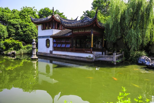 辽宁队最大的优势在锋线 锋线能否有出色的发挥决定着系列赛走势-