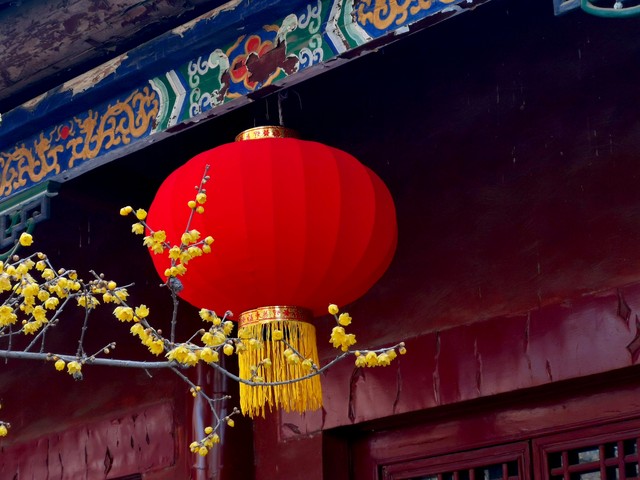 ?哇哇叫！雄鹿球迷兴奋叫喊“乱入”现场解说 被NBA警告了?-