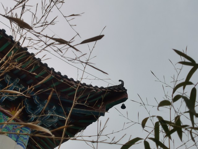 奇团直播