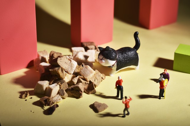 桃柚直播截图预览0