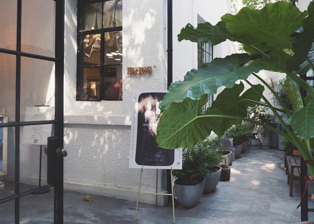 绿姿直播截图预览4