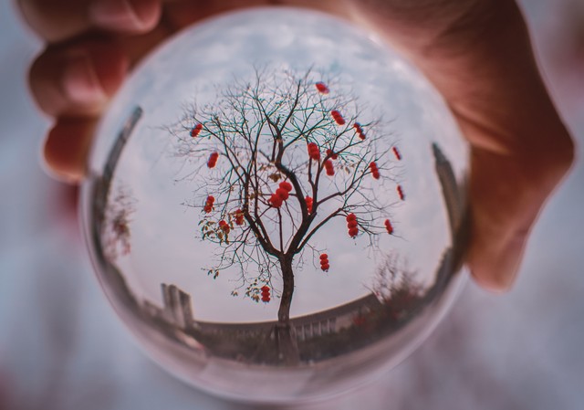 花漾直播截图0